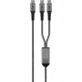 Goobay 75739 USB Cable Black