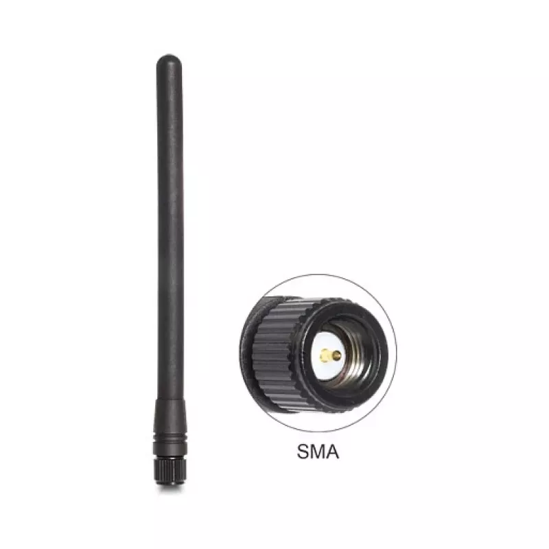 Antenna DeLOCK 88689 Network Antenna