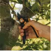 Fiskars Plus SmartFit P541 Garden Bypass Shears Black, Orange