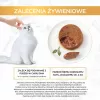 Wet cat food Gourmet pâté with rabbit 85 g