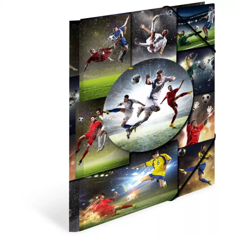 Ring binder A4 HERMA 19298