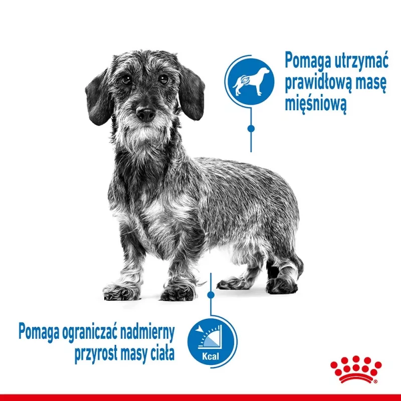 Royal Canin CCN MINI LIGHT WEIGHT CARE - dry food for adult dogs - 3kg