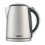 Electric kettle Zelmer ZCK7930 1.7L 2200W Silver