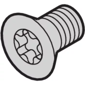SCHROFF SCREW TORX CSK.M4X14 (100PCS) - Rack-Accessory (24560145)