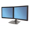 Ergotron DS100 - Stand - horizontal - for 2 LCD-Displays - Aluminium, Steel - Black - Screen Size: to 61 cm (to 24 inch)