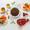 RAW PALEO Ultra Medium&Large Adult Beef - dry dog ​​food - 10 kg