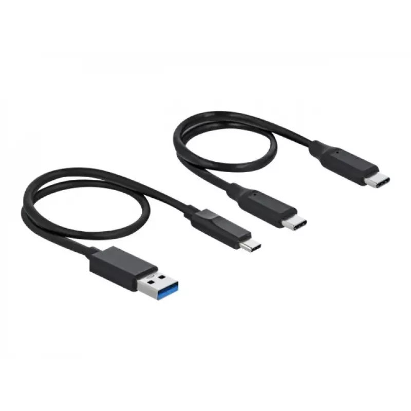 Card Reader DeLOCK USB Type-C for CFast SD + USB Hub