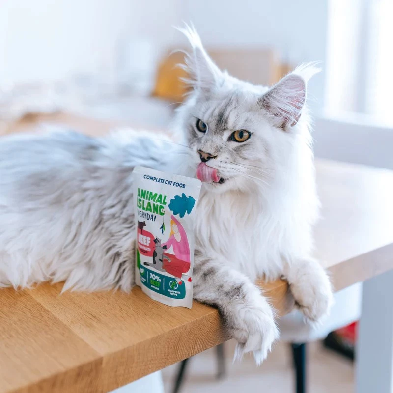 ANIMAL ISLAND beef in broth cat food mono-pack 40x85g