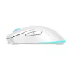 Mouse Baracuda BGM-122 Turtle White TURTLE-W