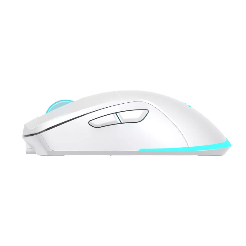 Mouse Baracuda BGM-122 Turtle White TURTLE-W
