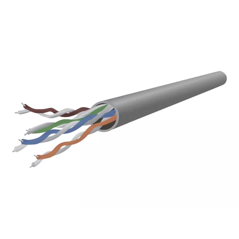 Gembird - Patch-Cable - RJ-45 (M) Zu RJ-45 (M) - 2 M - UTP - CAT 5e - Moulded - Grey