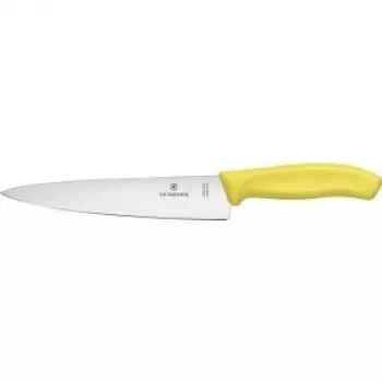 Domestic knife Victorinox SwissClassic 6.8006.19L8B