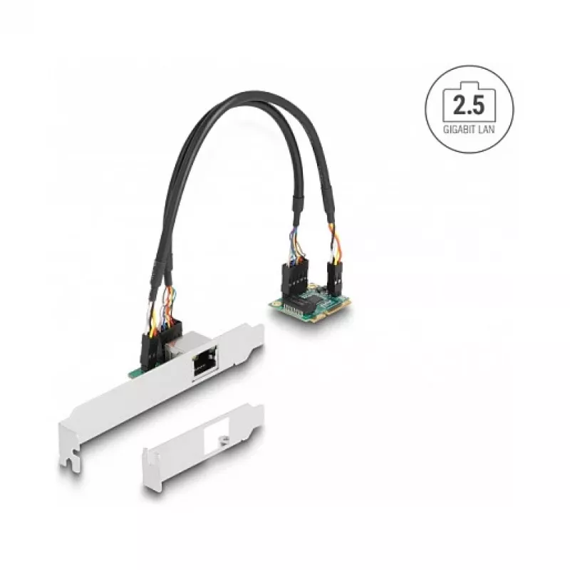 DeLOCK 95271 Internal Network Card 2500 Mbit/s Mini PCI Express