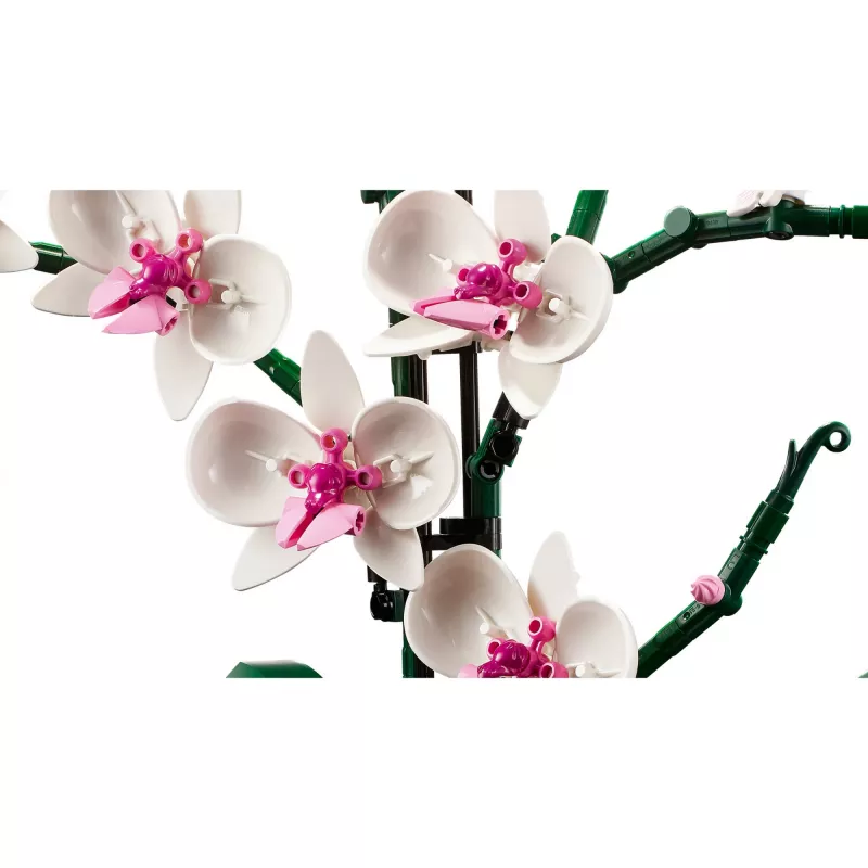 LEGO 10311 Icons Orchid Artificial Plant Building Set with Flowers Home Décor Accessory for Adults Botanical Collection Gifts for Wife or Husband