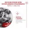 Dry cat food Royal Canin FHN Ageing 11+ 4 kg — complete diet for senior cats, poultry, 30% protein