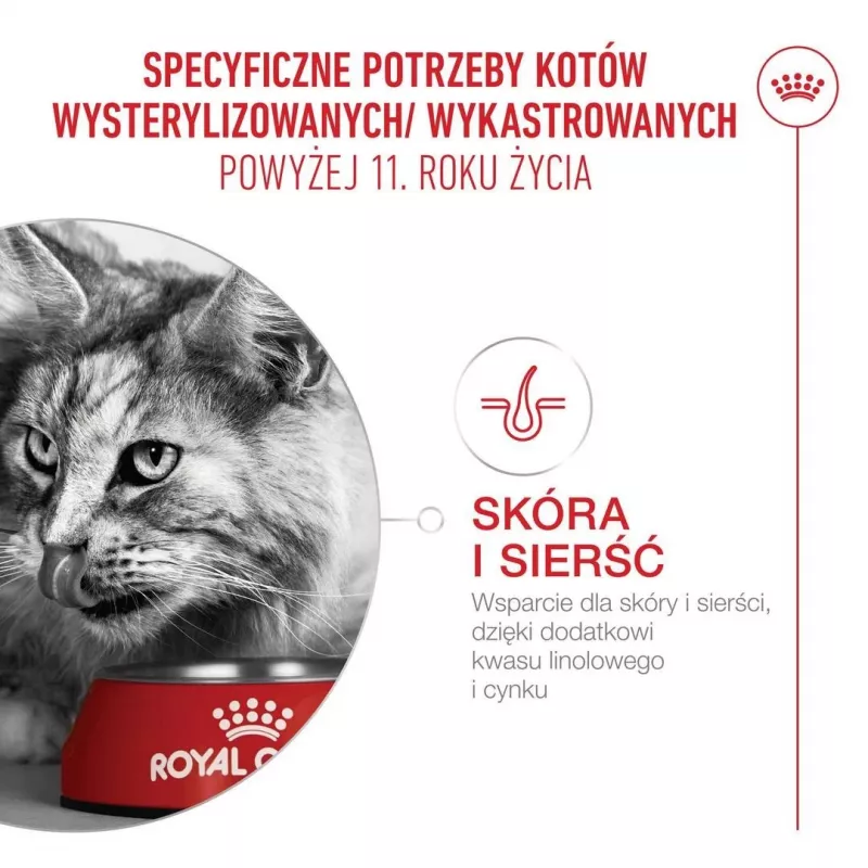 Dry cat food Royal Canin FHN Ageing 11+ 4 kg — complete diet for senior cats, poultry, 30% protein