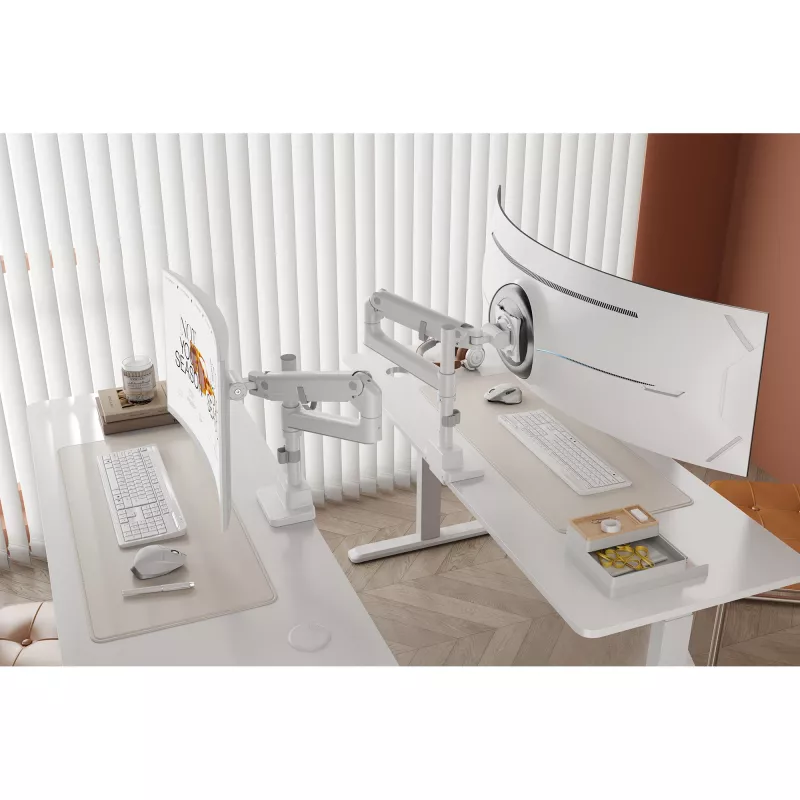 Monitor mount DIGITUS Single, clamp, 57 inch max, 27 kg capacity, VESA 75x75–100x100, white