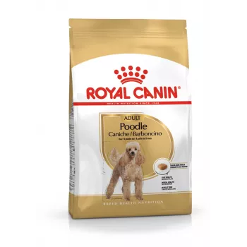 Dry Dog Food Royal Canin Poodle Adult 1.5 kg — Chicken, 30% Protein, 19% Fat