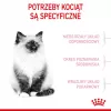 Dry cat food Royal Canin Kitten 10 kg — chicken, 36% protein, 18% fat, for kittens and pregnant/lactating queens