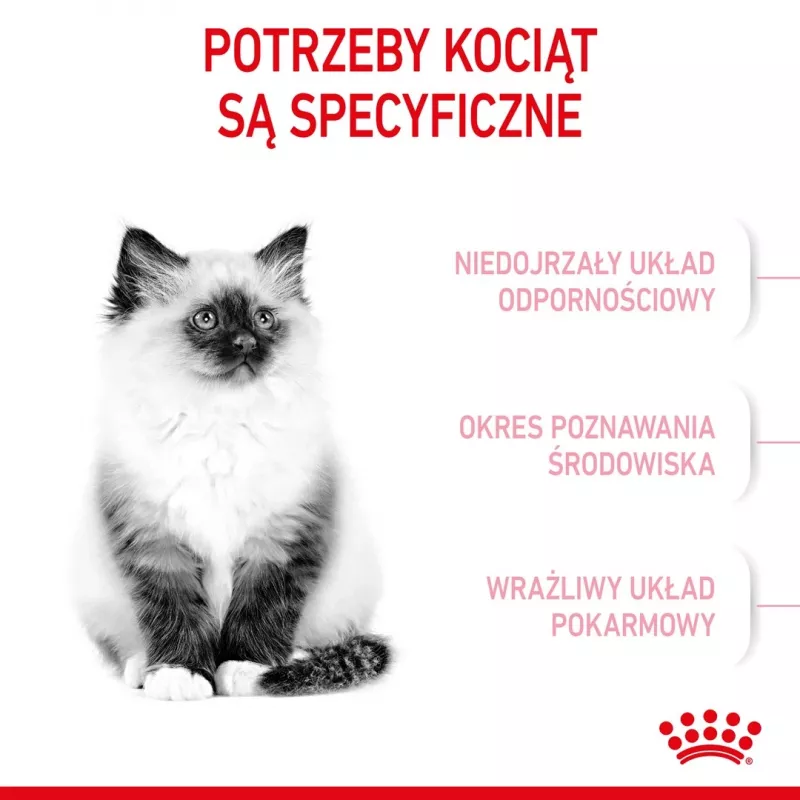 Dry cat food Royal Canin Kitten 10 kg — chicken, 36% protein, 18% fat, for kittens and pregnant/lactating queens