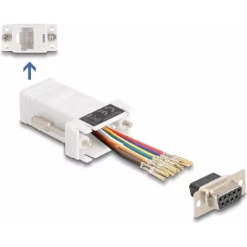 DeLOCK D-Sub 9 pin female to RJ45 female Assembly Kit white VGA RJ-45