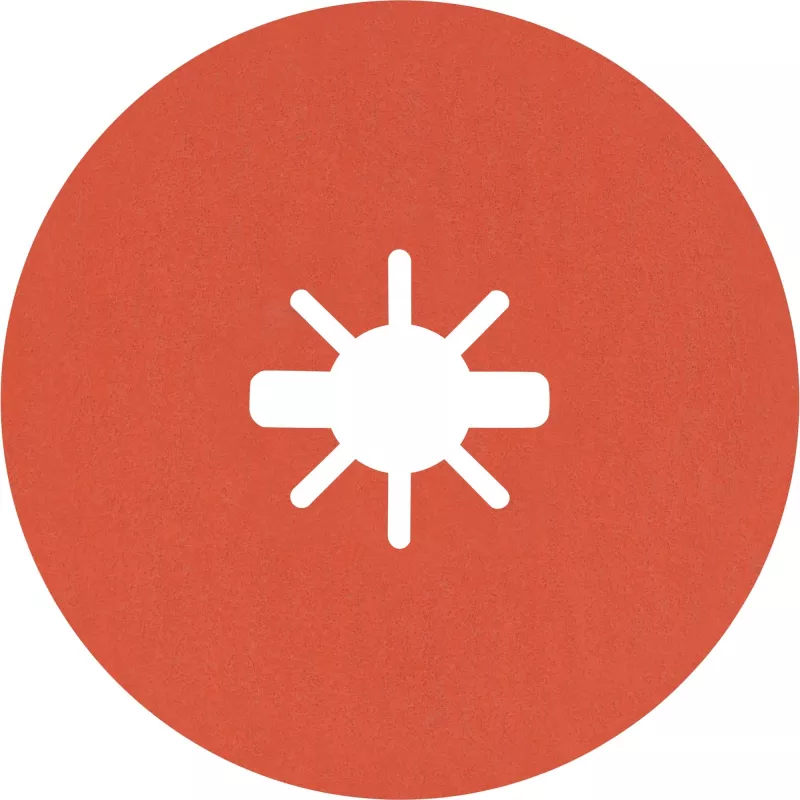 Bosch EXPERT R782 PRISMA Grinding disc