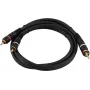 RCA (Cinch) audio cable Omnitronic 30209352 2x2 0.3 m