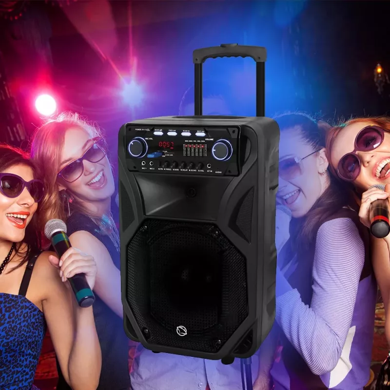 Portable karaoke speaker MANTA SPK5021PRO 20W, 12 inch woofer, 80W RMS, Bluetooth, battery up to 5h, SD/USB, mic & guitar inputs