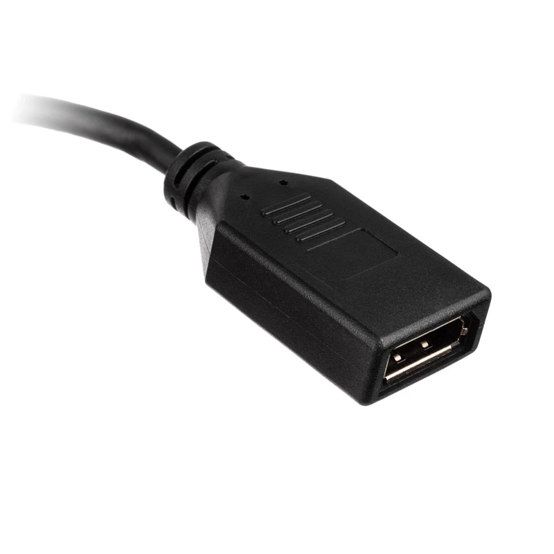 HDMI to DisplayPort Adapter cable Akasa AK-CBHD24-25BK