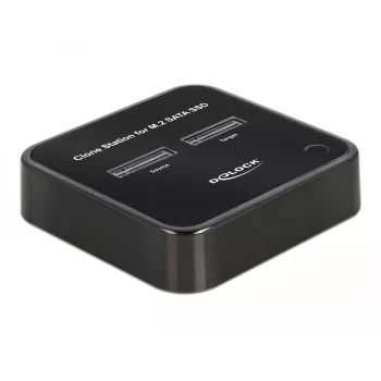 DeLOCK 64178 Docking Station USB 3.2 Gen 2 Type-C SSD M.2