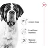 ROYAL CANIN Giant Adult - dry dog food - 15 kg