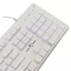 Mechanical gaming keyboard White Shark TACHI-W-US — compact TACHI White layout