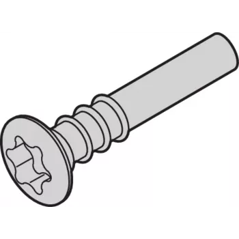 SCHROFF Torx-Linsenkopfschraube - NTS LISESHR TORX3.0X20 100 pc(s) (24812501)