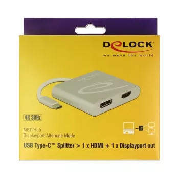 USB graphics adapter DeLOCK 87716 2560 x 1440 pixels Silver
