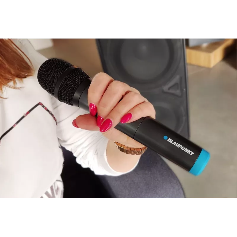 Microphone Blaupunkt WM60UDB