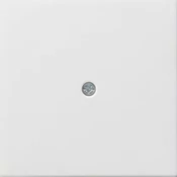 GIRA 0274112 Wall Plate/Switch Cover White (0274112)