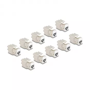 DeLOCK 88119 keystone module Flat White RJ-45 10 pcs