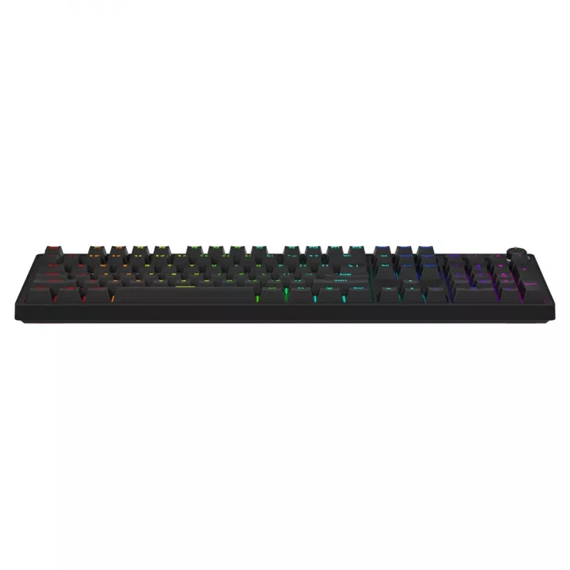 Gaming keyboard SAVIO STYX BROWN — mechanical Outemu Brown, QZERTY US International, RGB, USB, full-size 104 keys, black