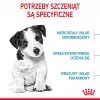 Dry dog food Royal Canin Mini Puppy 2 kg — small breeds, chicken, 31% protein
