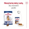 Royal Canin Maxi Adult 5+ Dry Dog Food 15 kg