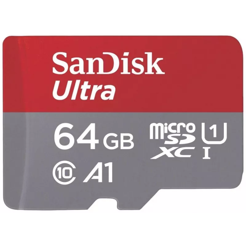 Flash memory card SANDISK SDSQUAB-064G-GN6TA 64GB