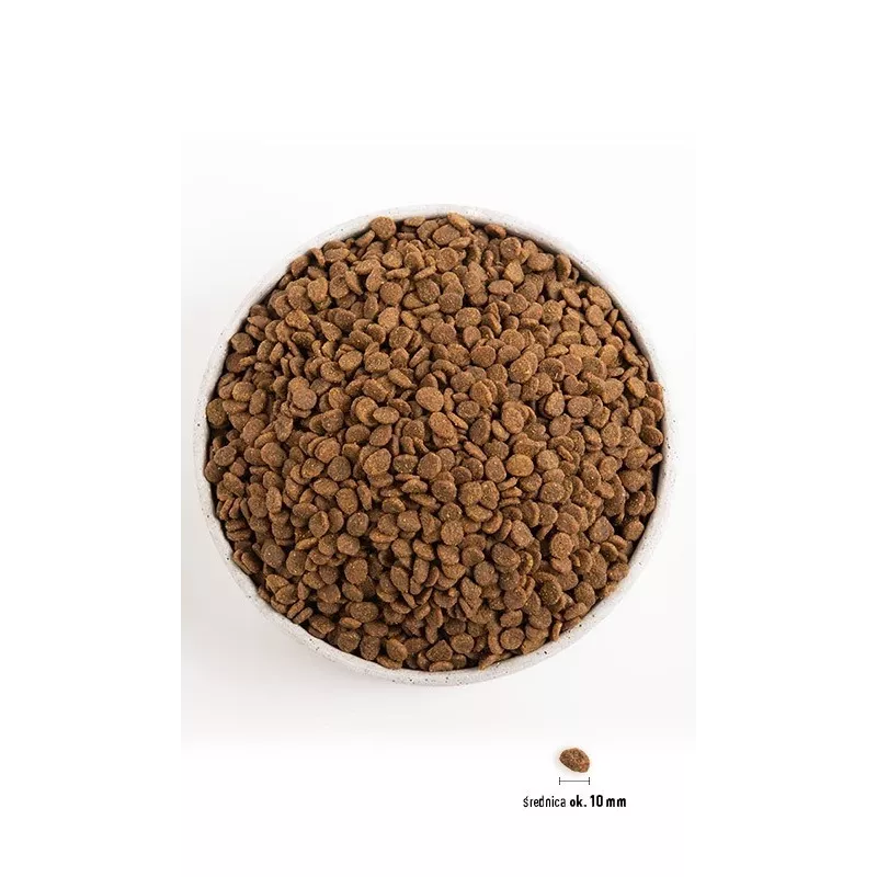 ORIJEN Cat Original - dry cat food - 1,8kg