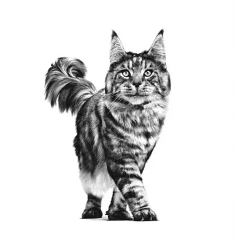 ROYAL CANIN Cat Gastrointestinal VHN - dry cat food - 400g