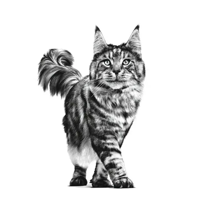 ROYAL CANIN Cat Gastrointestinal VHN - dry cat food - 400g