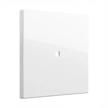 Switch rocker Gira Wippe Kontrollf. System 55 Reinweiß (model 329003) for System 55 frames
