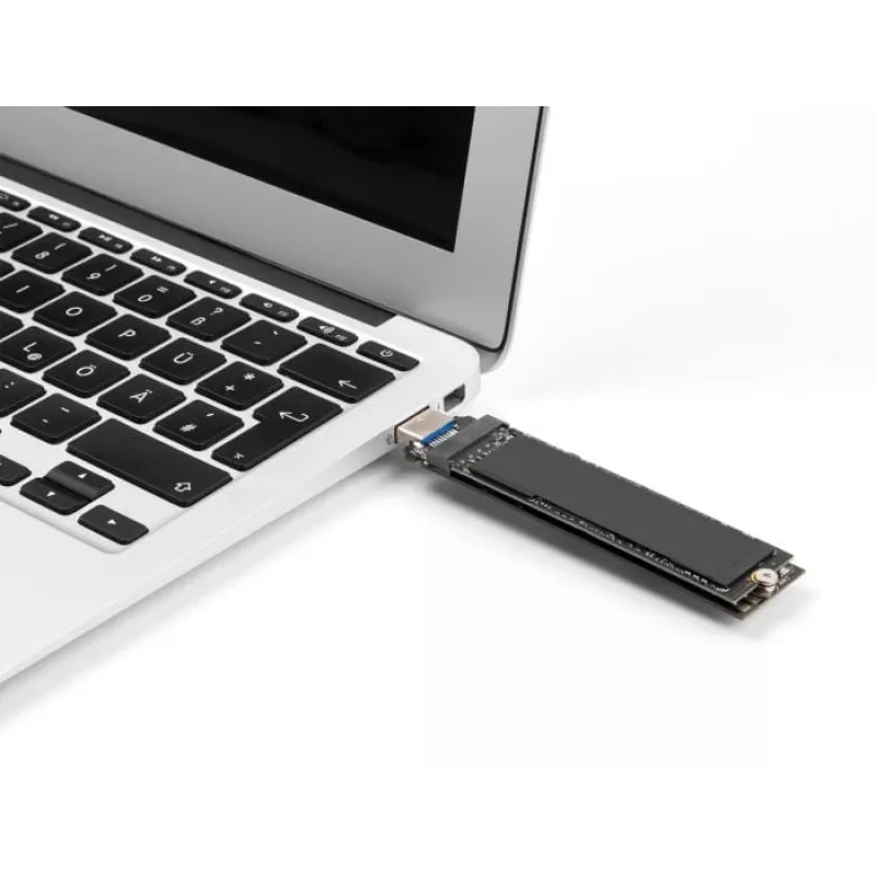 DeLOCK Combo Converter for M.2 NVMe PCIe or SATA SSD USB 3.2 Gen 2 Black