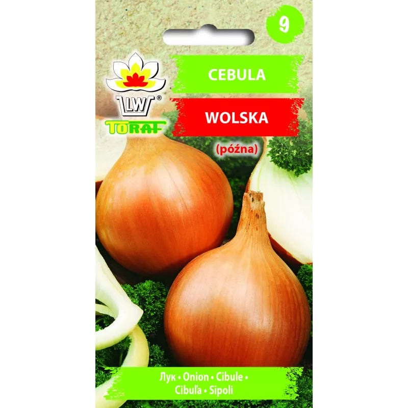 Wolska Onion Toraf Vegetable Seeds, 5g Pack