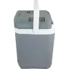 Cool Box Campingaz Powerbox Plus 28 L Electric Grey