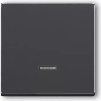 Busch-jaeger 6599-0-2881 Networking Device