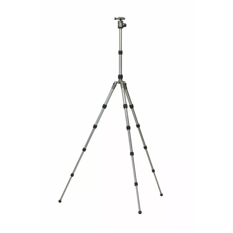 Slik Rover A tripod Digital/film cameras 3 leg(s) Silver